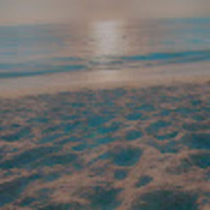 Meet your Posher, Verity